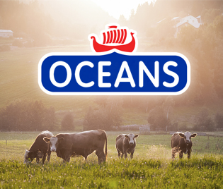 OCEANS奶酪品牌包裝設計